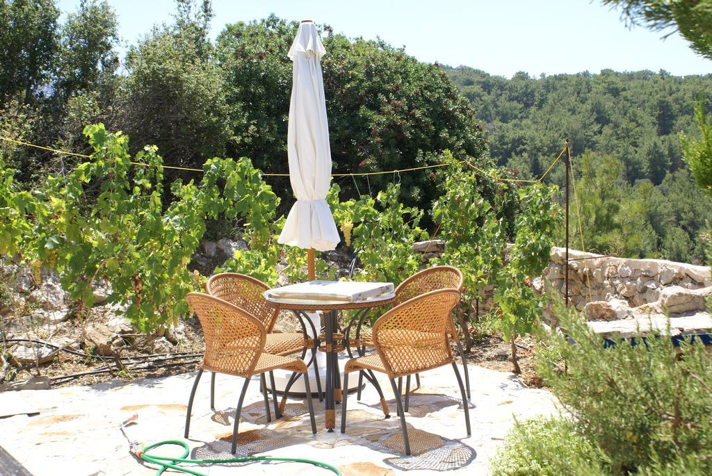 Villa O Ioannis à Kritinía Extérieur photo